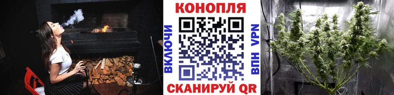 Купить закладку Галлюциногенные грибы  Мефедрон  ГАШ  Марихуана  Жирновск