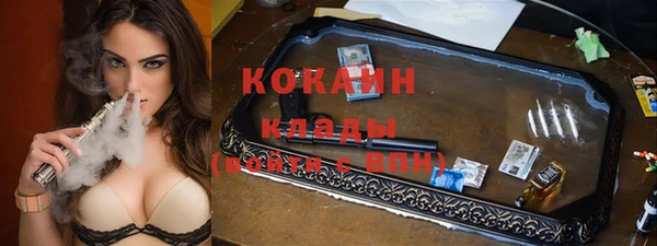 прущие грибы Иннополис
