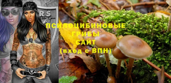 прущие грибы Иннополис