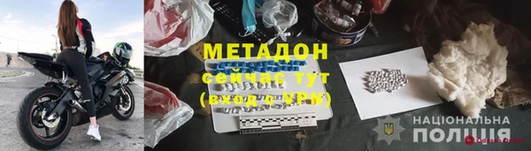 прущие грибы Иннополис