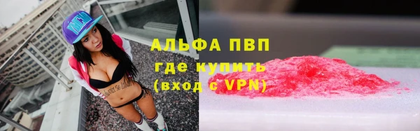 прущие грибы Иннополис