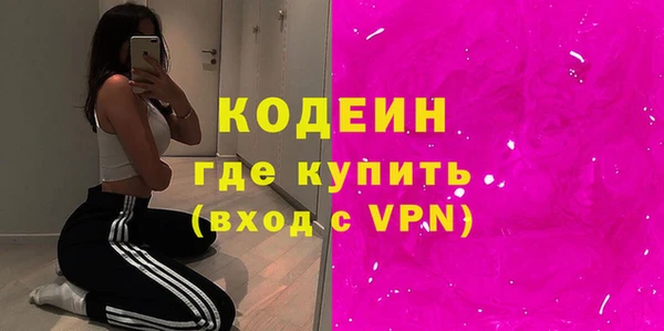 прущие грибы Иннополис