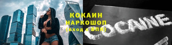 mdpv Инсар