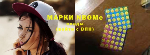прущие грибы Иннополис