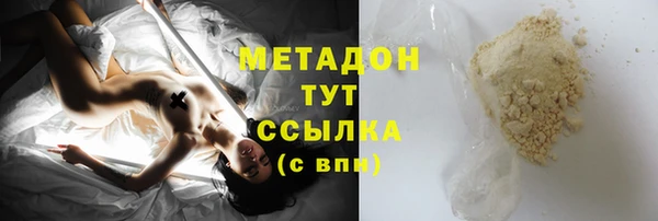 прущие грибы Иннополис