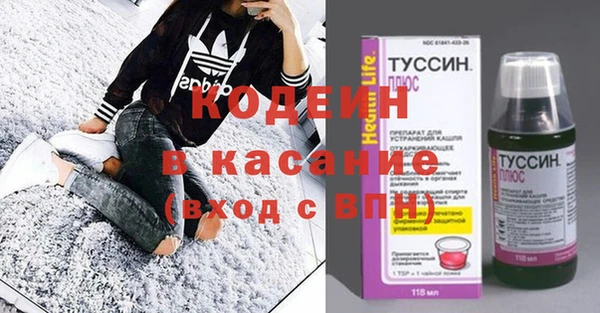 прущие грибы Иннополис