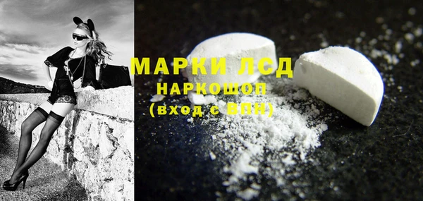 прущие грибы Иннополис