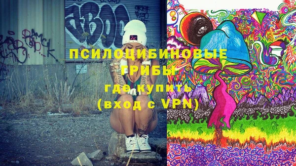 прущие грибы Иннополис